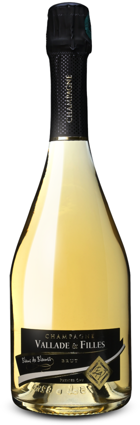 Champagne Blanc de Blancs